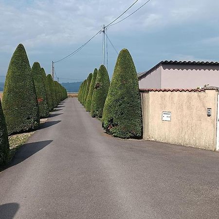 Charmante Maison Avec Piscine Anneyron Esterno foto