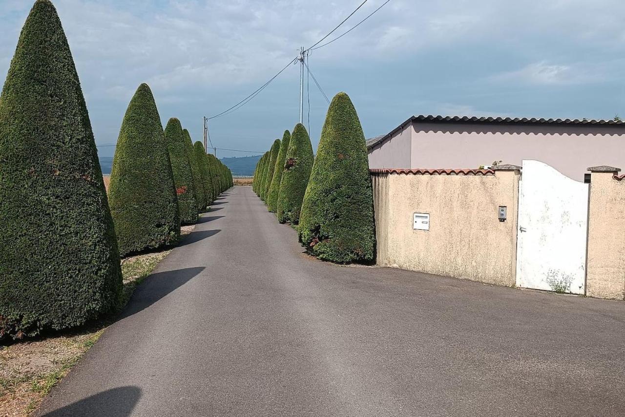 Charmante Maison Avec Piscine Anneyron Esterno foto